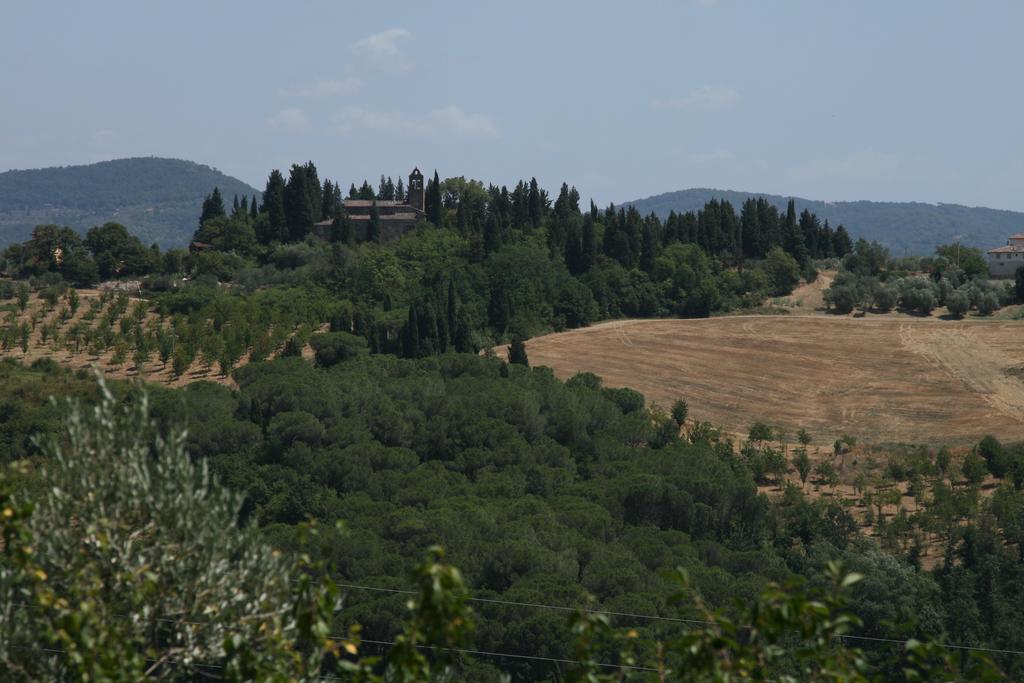 Manetti * Montespertoli