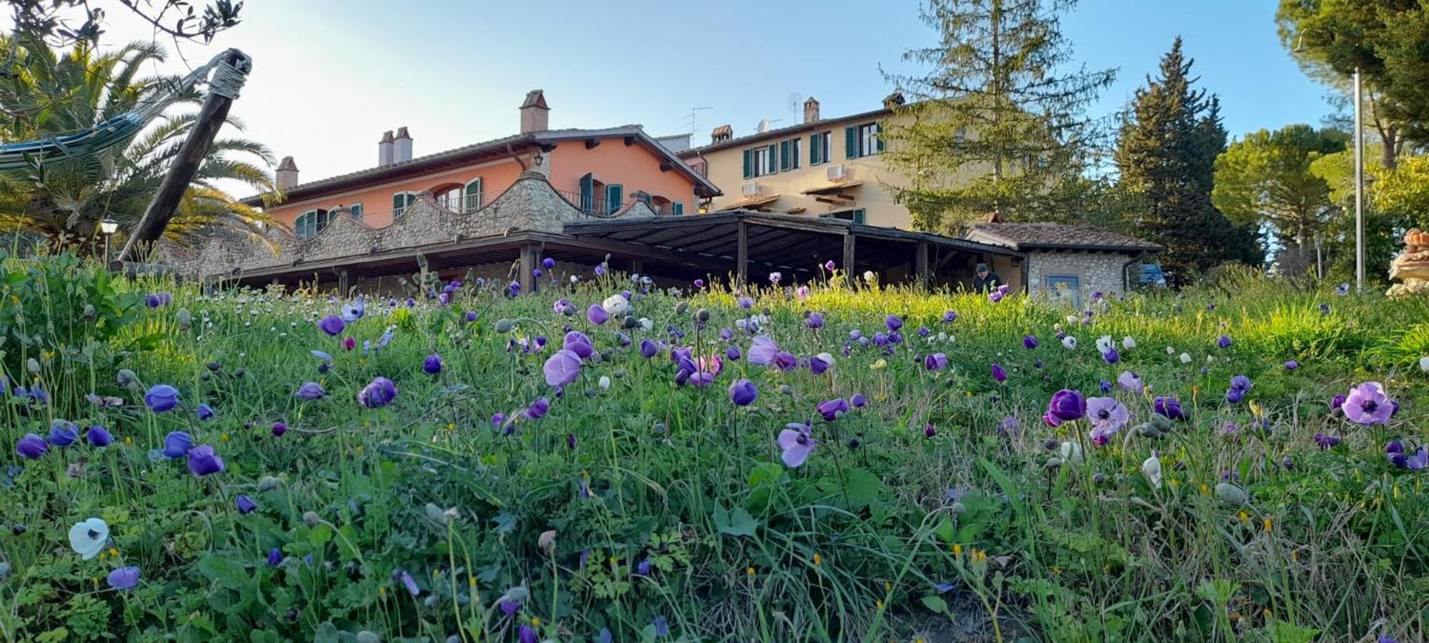 Séjour à la ferme Manetti Montespertoli